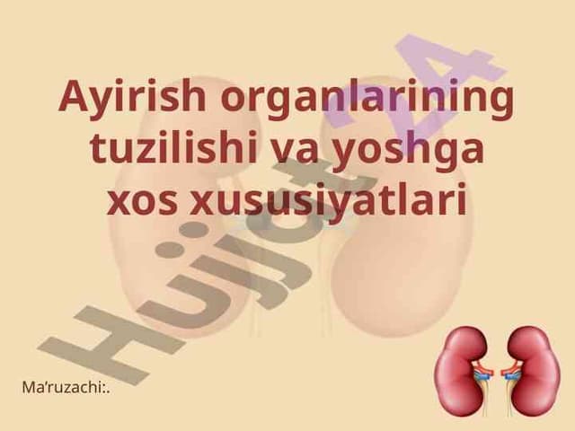 Ayirish organlarining tuzilishi va xususiyatlari