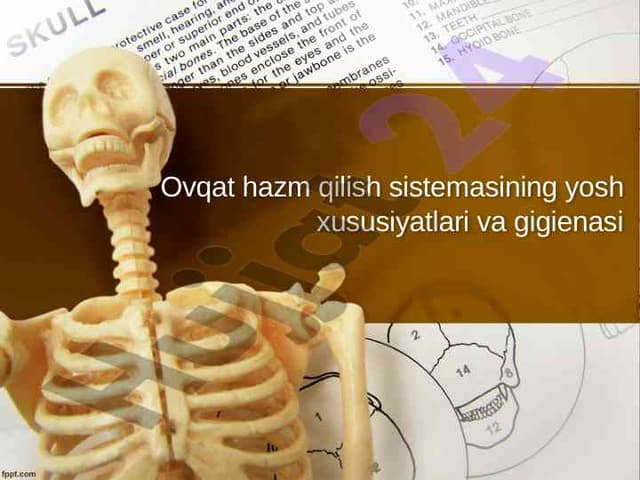 Ovqat hazm qilish sistemasining yosh xususiyatlari va gigienasi