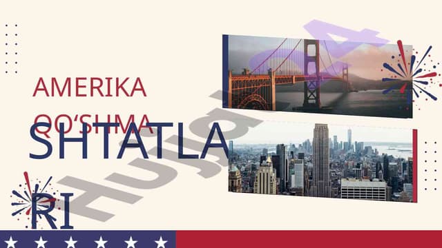 Amerika Qo'shma Shtatlarining iqtisodiy va siyosiy tavsifi