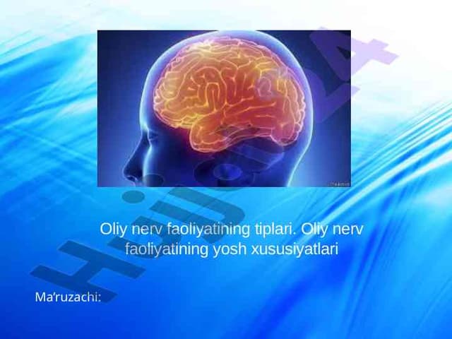 Oliy nerv faoliyatining tiplari. Oliy nerv faoliyatining yosh xususiyatlari