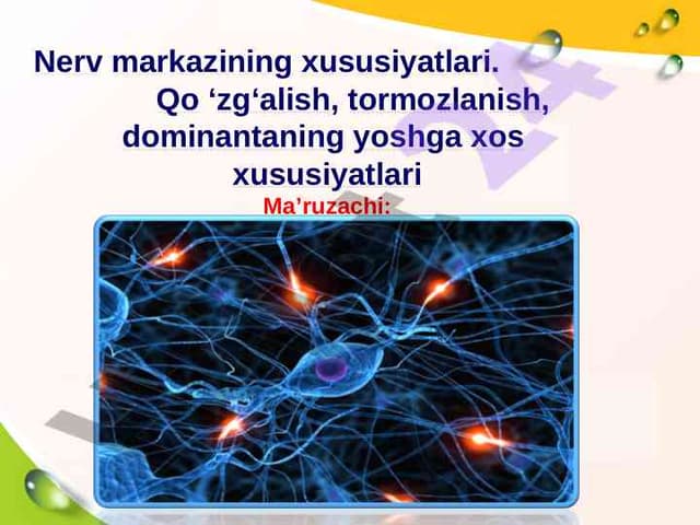 Nerv markazining xususiyatlari.   Qo ‘zg‘alish, tormozlanish, dominantaning yoshga xos  xususiyatlari