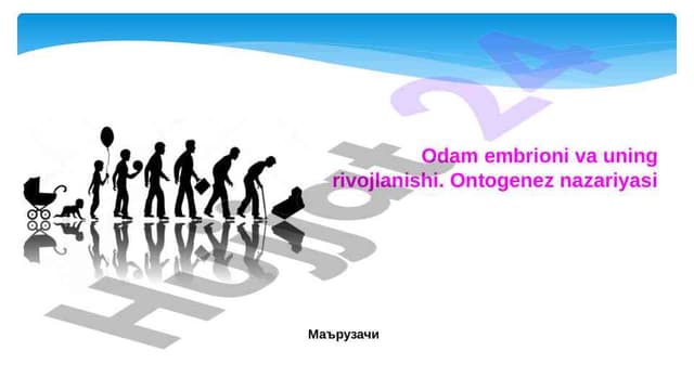 Odam embrioni va uning rivojlanishi. Ontogenez nazariyasi
