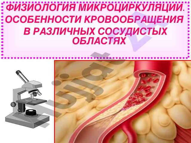 ФИЗИОЛОГИЯ МИКРОЦИРКУЛЯЦИИ