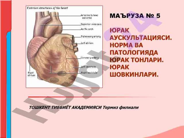 Юрак клапанлари проекцияси