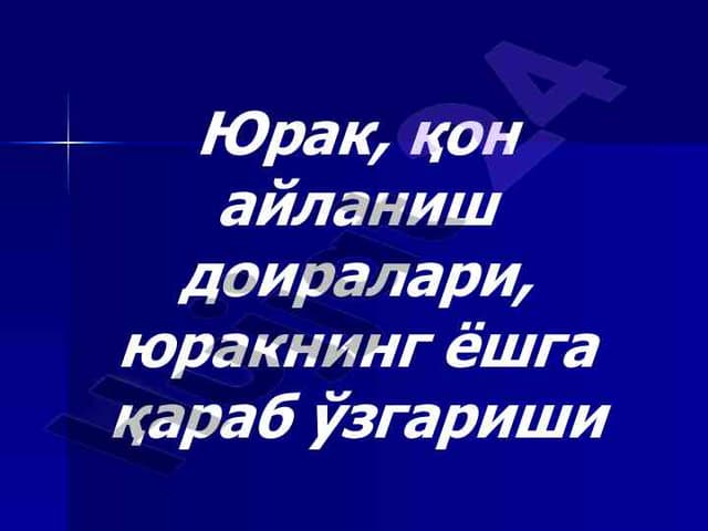 Юрак ва унинг тузилиши