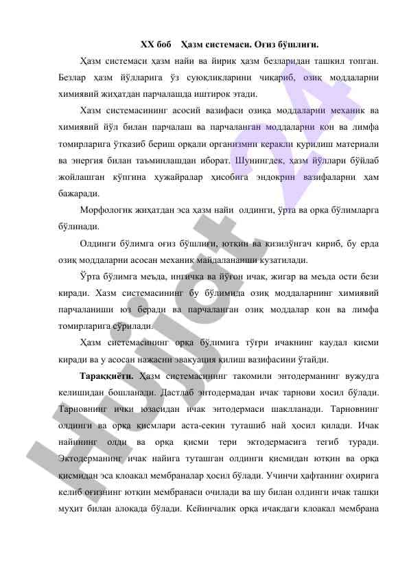 Хазм системаси