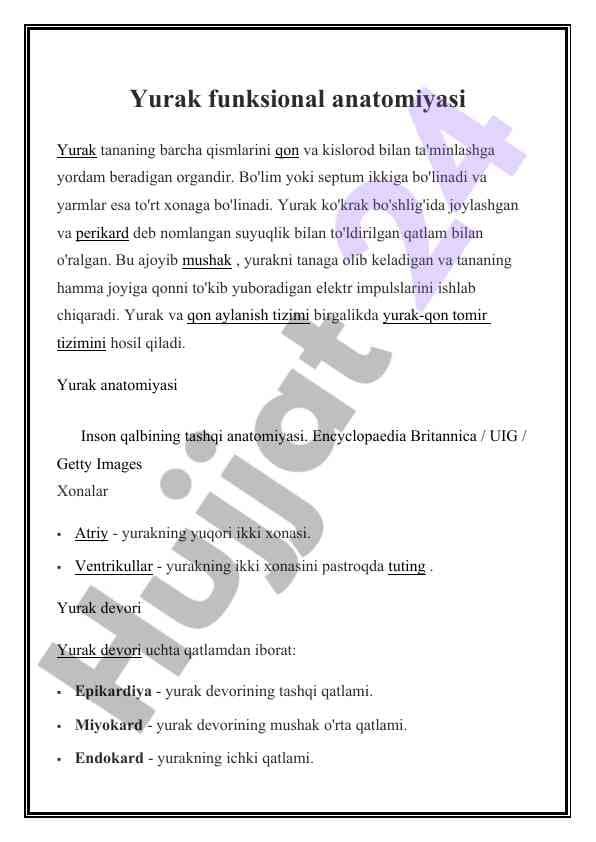 Yurak anatomiyasi