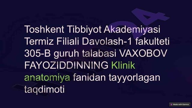 Zamonaviy Yondashuvlar